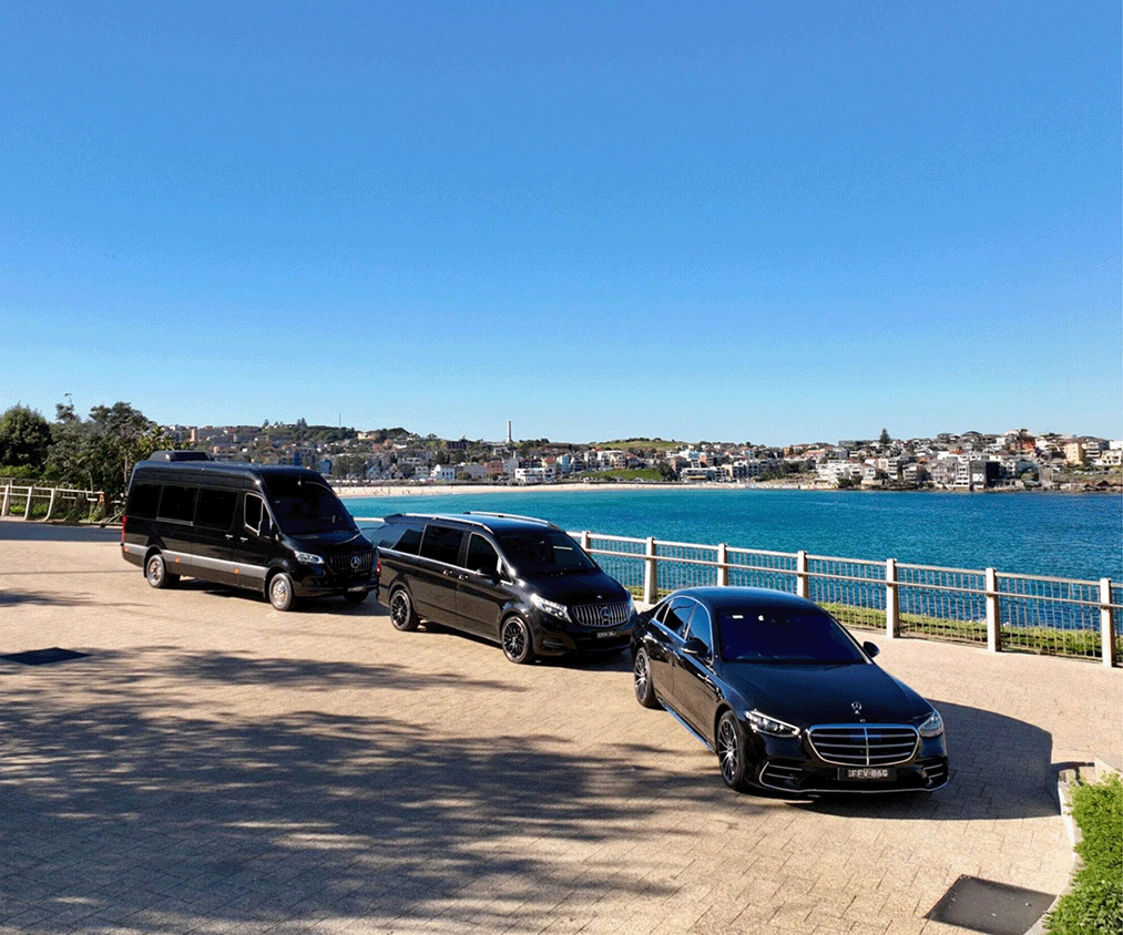 Sclasscaroussel-scaled-e1754029197266 S-Class Right