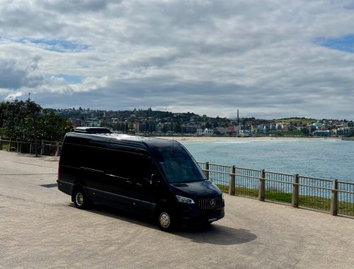 Sprintercaroussel(4)